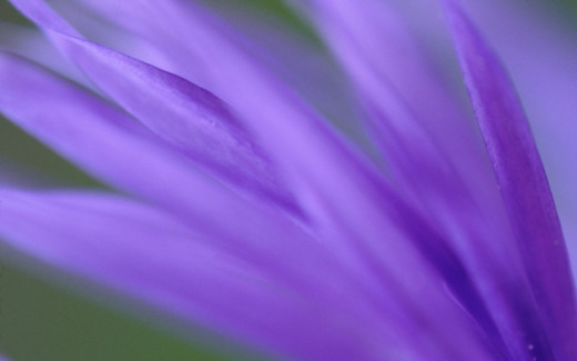 447602 (a): :2560x1600